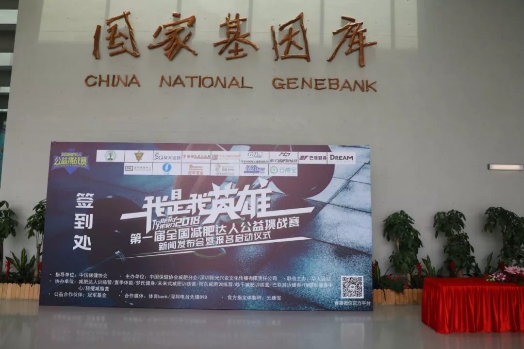 减肥达人