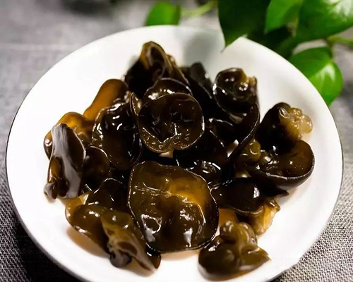 减肥训练营，减肥夏令营