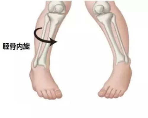 北京减肥夏令营，减肥夏令营